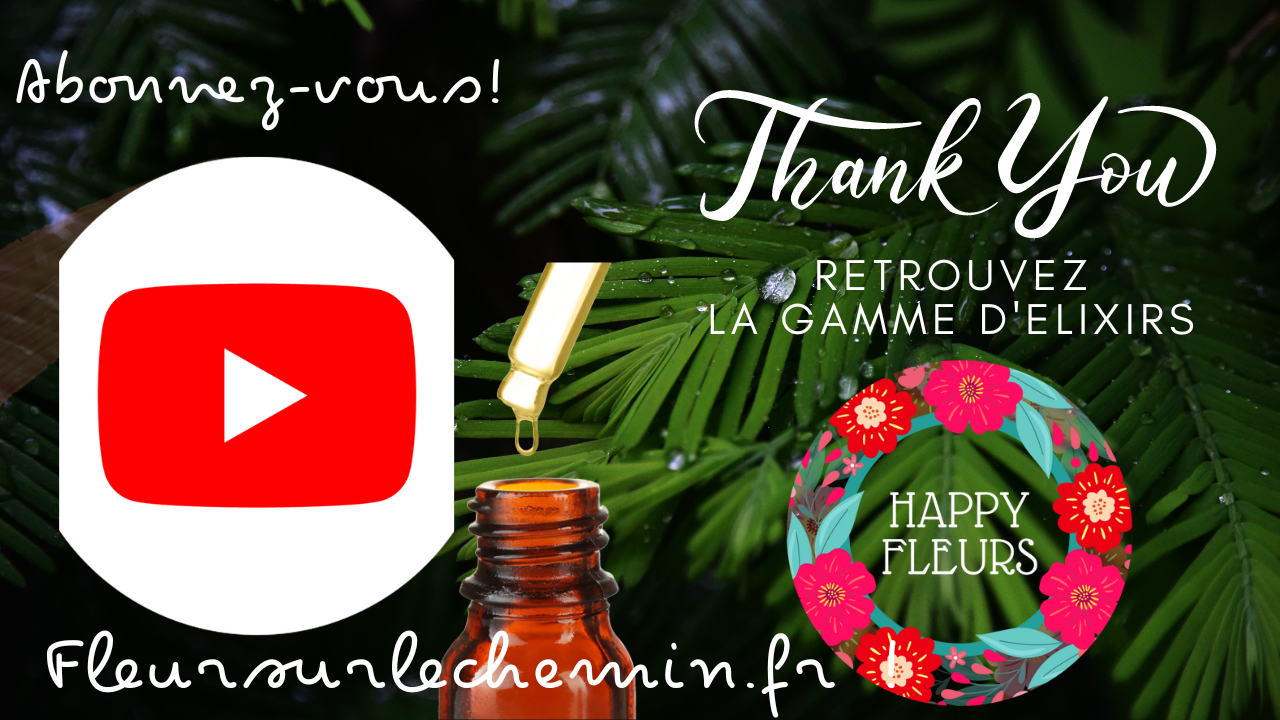 Rendez-vous sur ma Chaîne YouTube : FLEURSURLECHEMIN